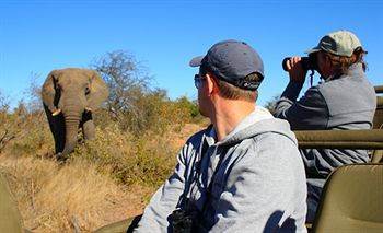 Motswari Private Game Reserve - Timbavati Частный заповедник Класери Экстерьер фото