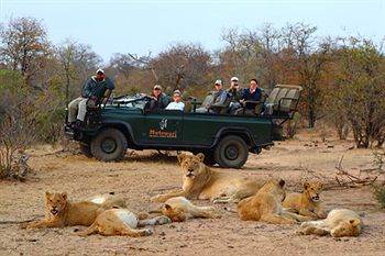 Motswari Private Game Reserve - Timbavati Частный заповедник Класери Экстерьер фото