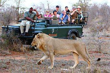 Motswari Private Game Reserve - Timbavati Частный заповедник Класери Экстерьер фото