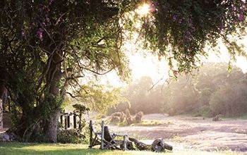 Motswari Private Game Reserve - Timbavati Частный заповедник Класери Экстерьер фото