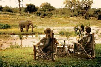 Motswari Private Game Reserve - Timbavati Частный заповедник Класери Экстерьер фото